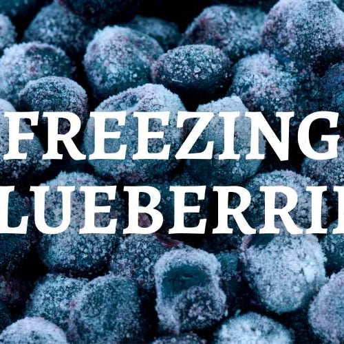 Freezing Blueberries!