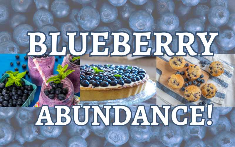 Blueberry Abundance