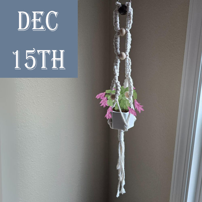 CLASS Holiday Macramé Plant Hanger