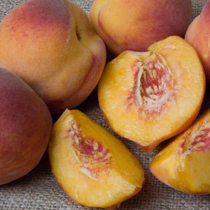 Peach Redhaven