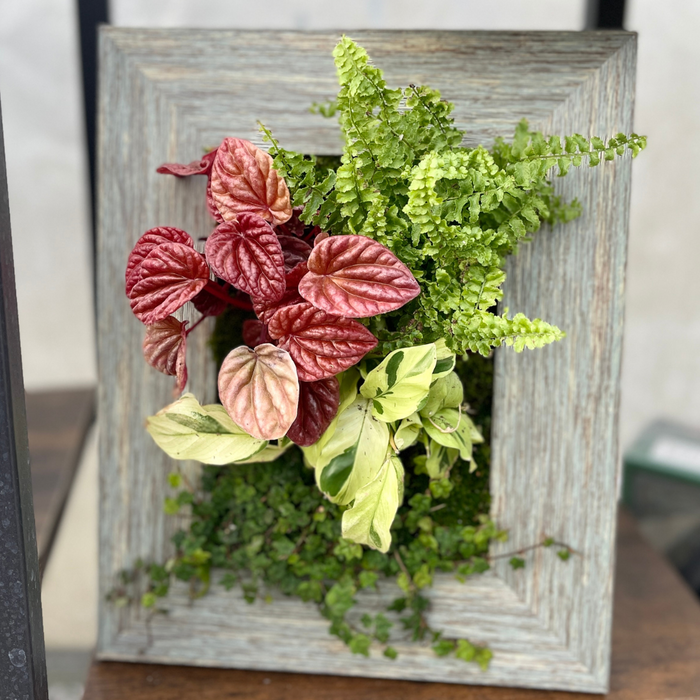 CLASS Portrait Frame Planter