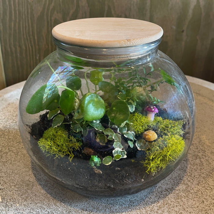 CLASS Terrarium Workshop