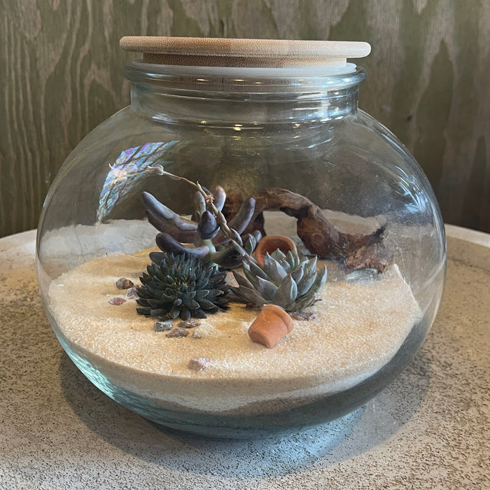 CLASS Terrarium Workshop