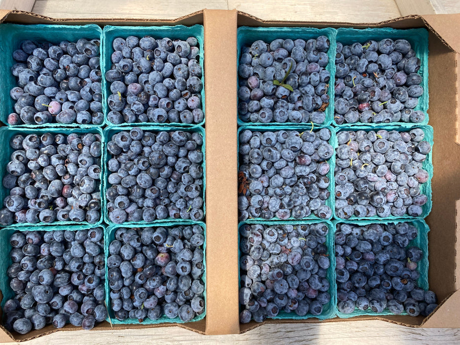 Blueberries - Full Flat