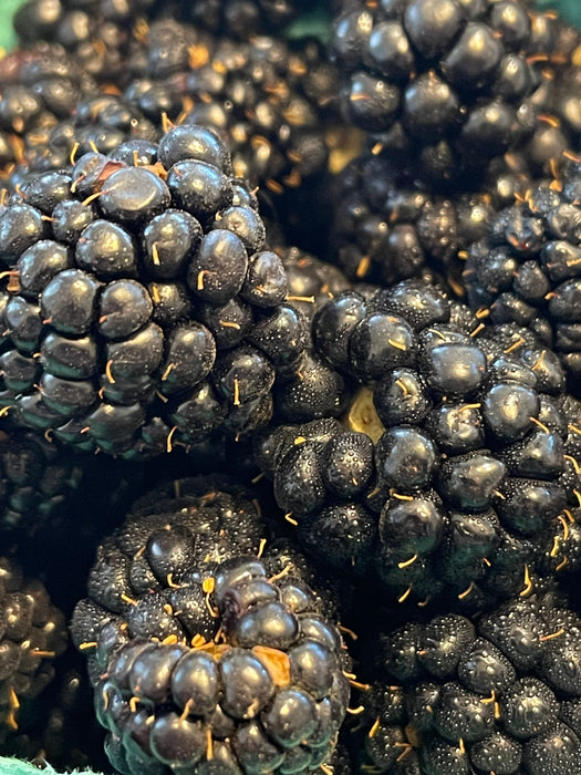 Blackberries - Full Flat