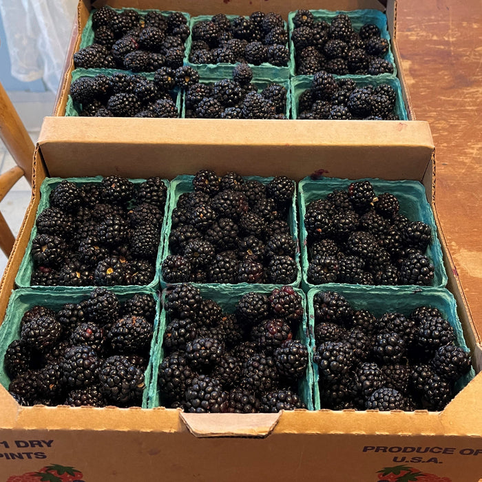 Blackberries - Full Flat